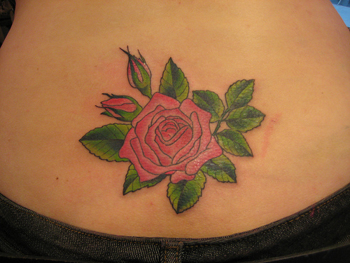 Rose tattoo: galleria Flickr valokuvia